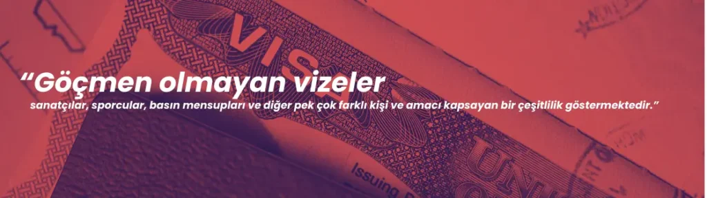 amerika vize çeşitleri